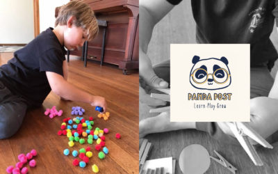 Panda Post Learning – teaching me
