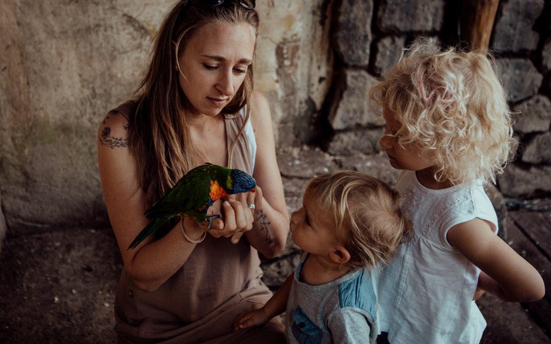 In conversation with Sophie Smith