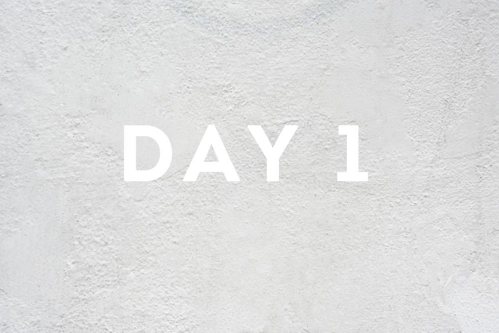 Day One