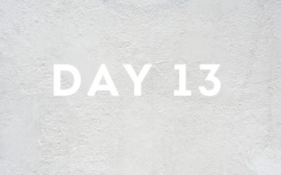 Day Thirteen