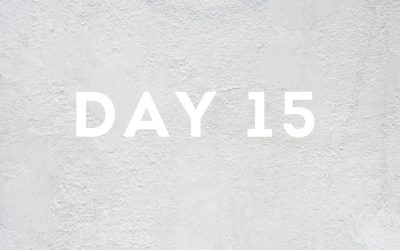 Day Fifteen