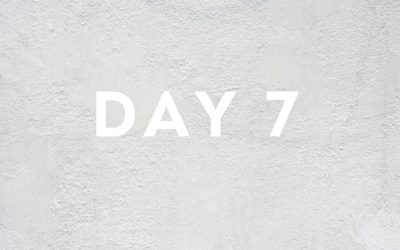 Day Seven