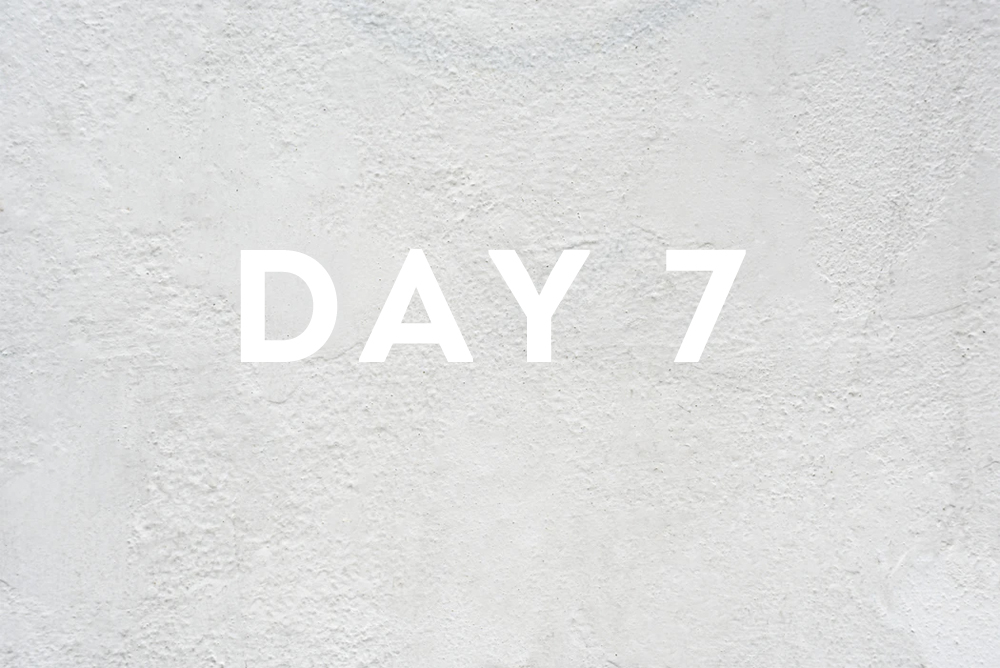 Day Seven