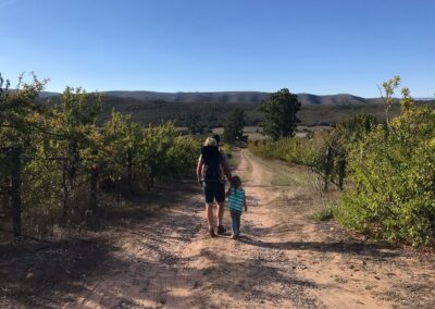 Afternoon walk