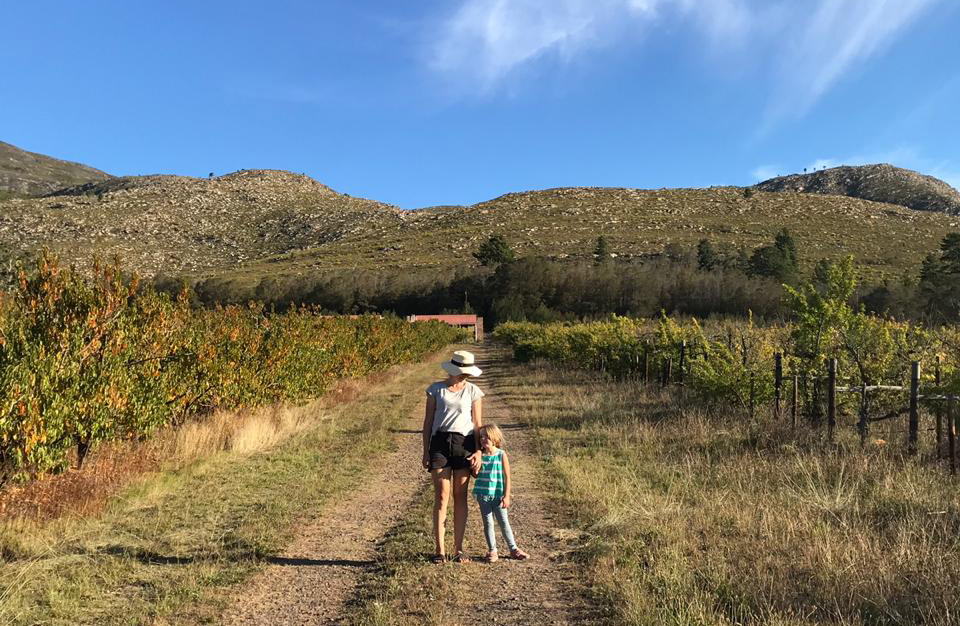 A Visit to Grootnek Guest Farm
